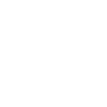 Enterprise-Grade Support